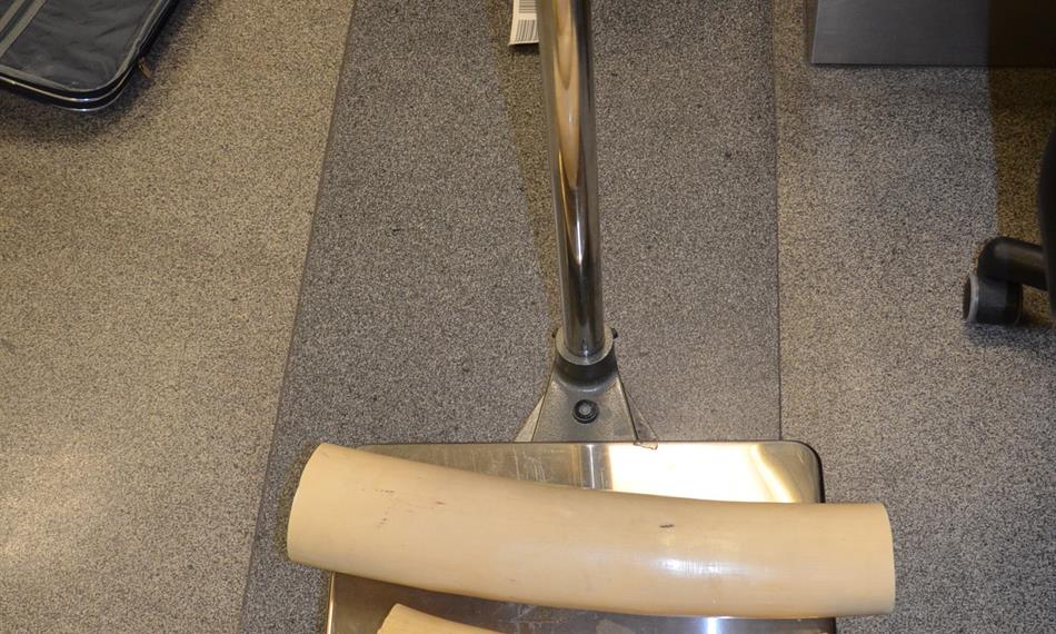 2014-2-24-122214. foto-sloní kly.jpg